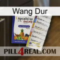 Hard Wang 11
